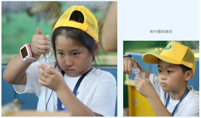 微信截图_20240812103119.png