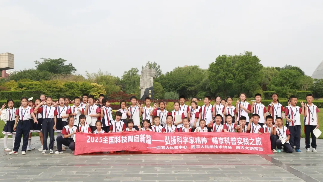 图片 29.png