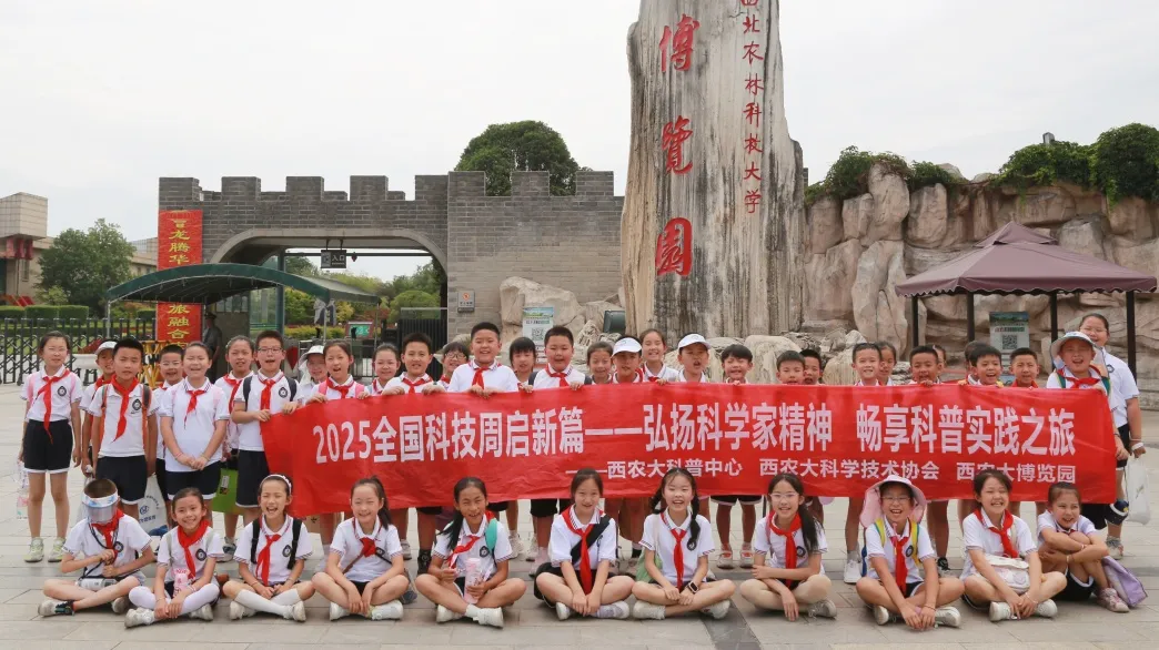 图片 27.png