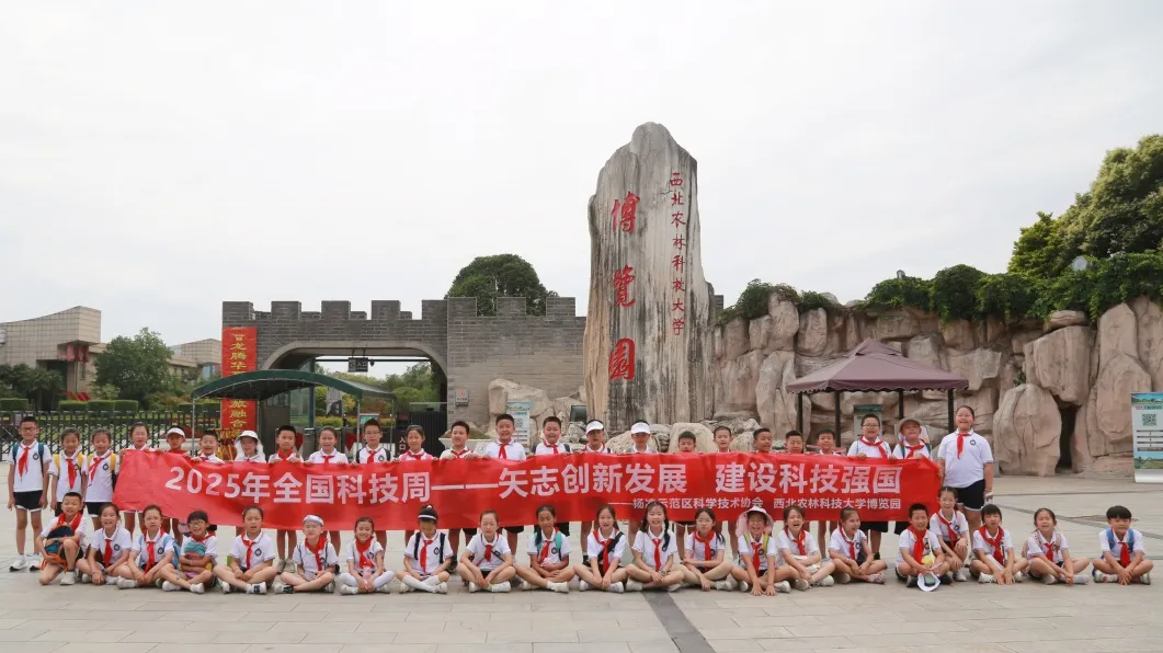 图片 1.png