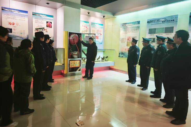 消防宣传月系列活动圆满落幕