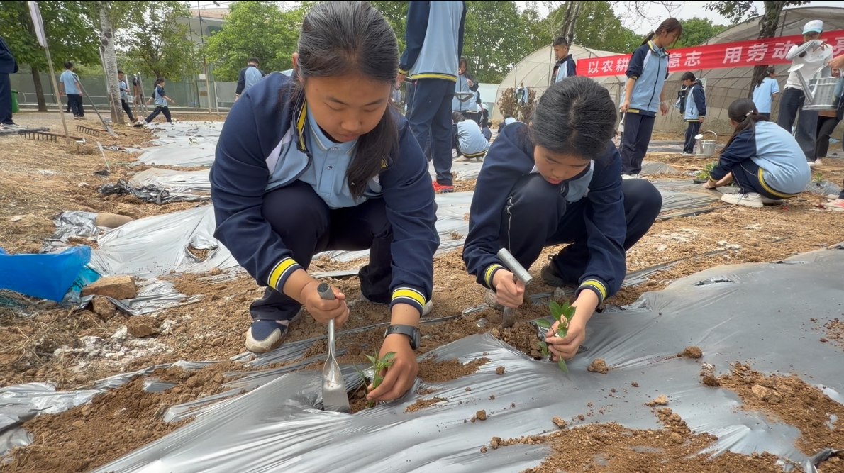 微信图片_20260430180200.jpg