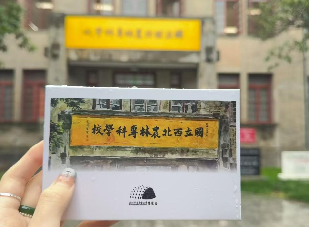 图片2.png