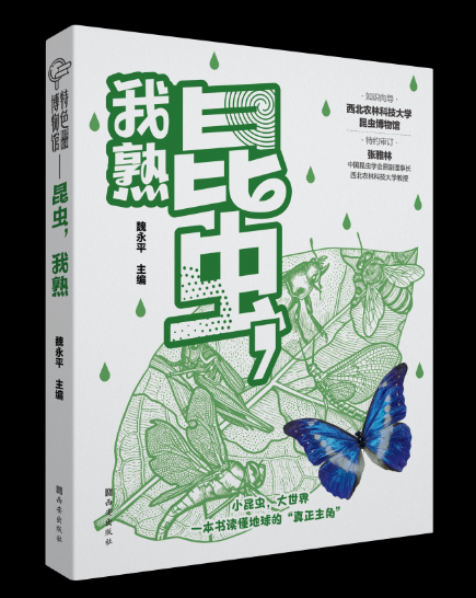 获奖作品.png