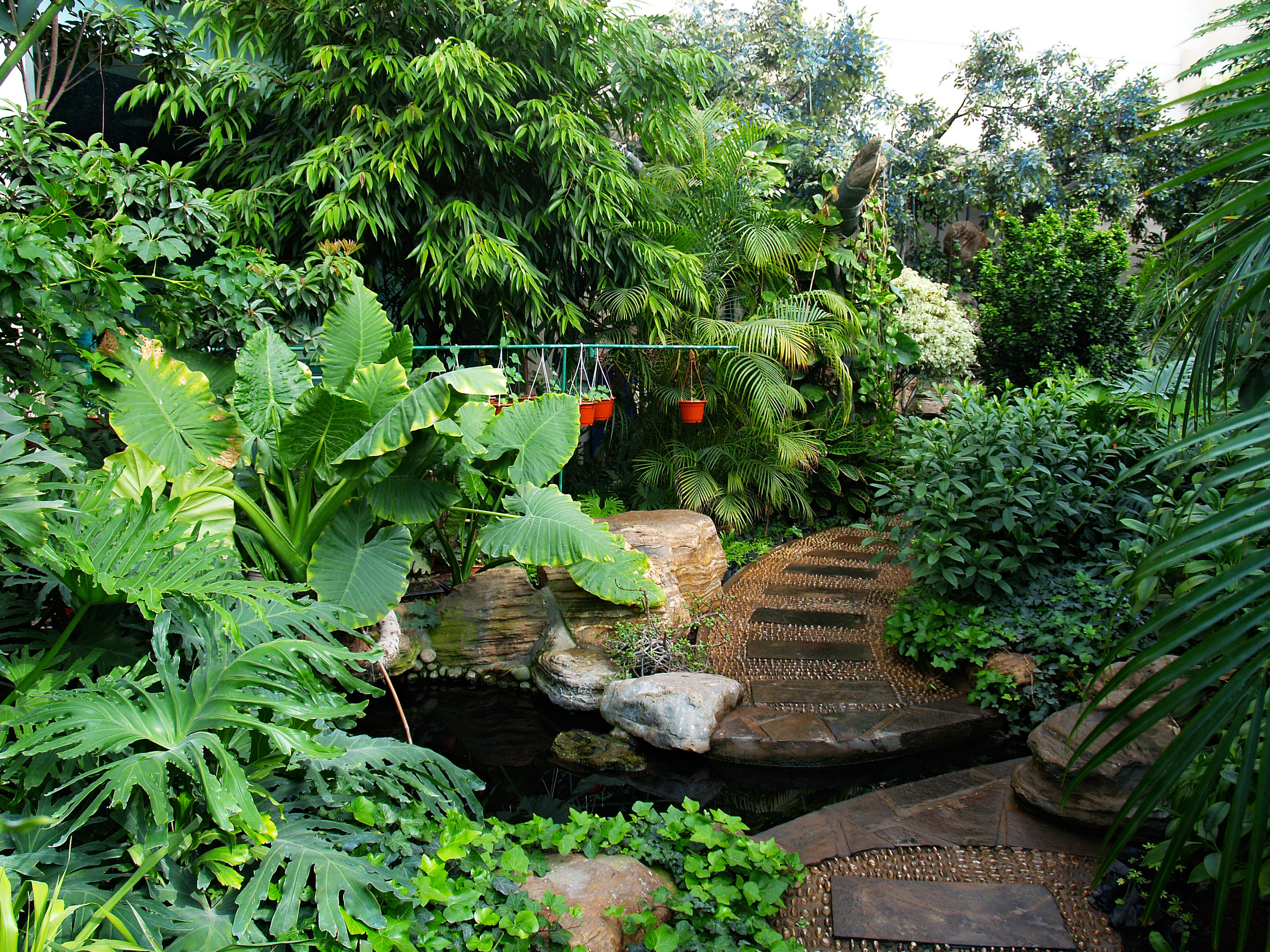 温室植物厅1475011968.JPG