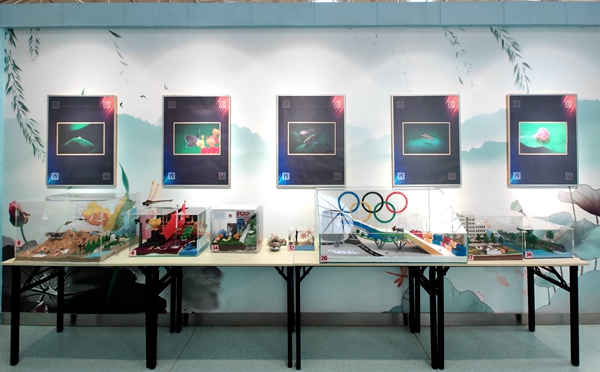 昆虫摄影作品展.jpg