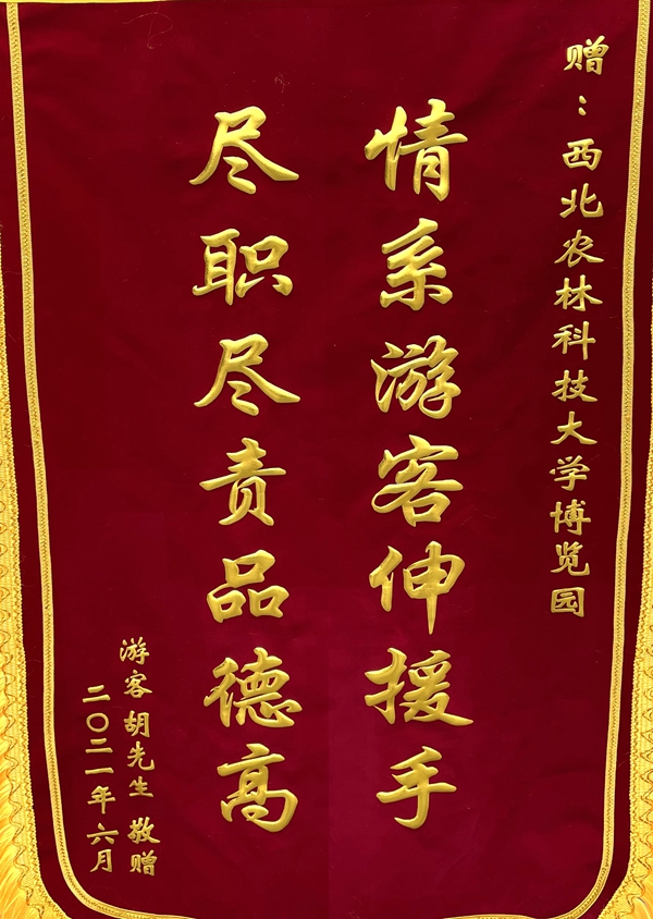 锦旗.jpg