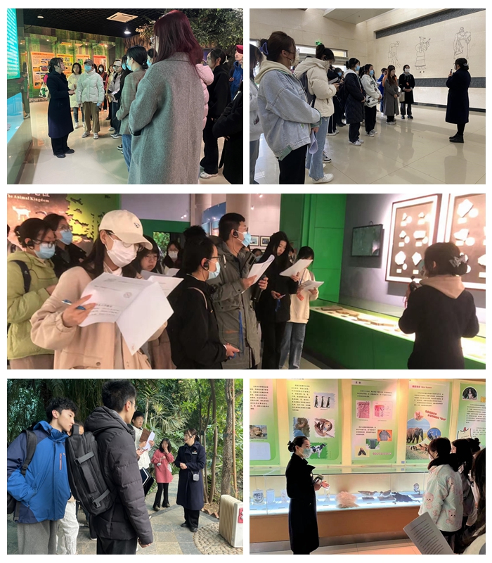 bdaa671875ce470cba8fe3fc001cc363.jpg 培训现场.jpg